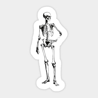 Pretentious Skeleton Sticker